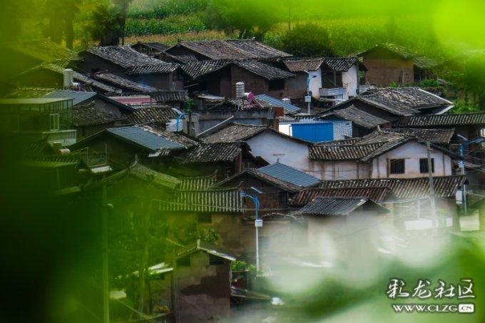 英文字母连接