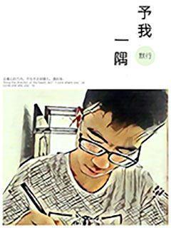 小红帽的冒险之旅