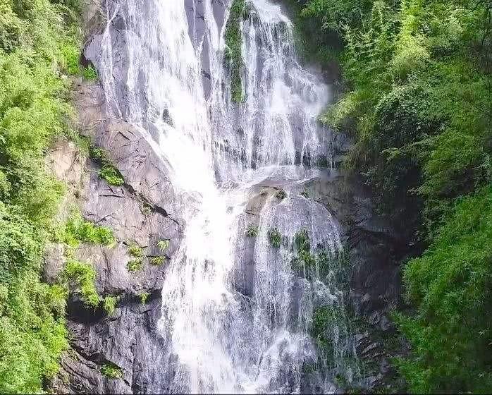 米乐米可森林大冒险