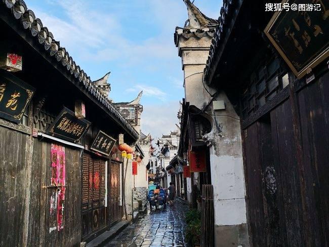 这是蒲公英吗？游戏画面